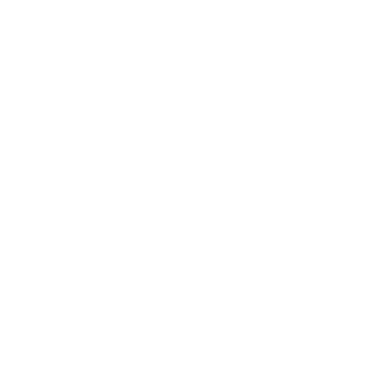 GEOLiNK G mark